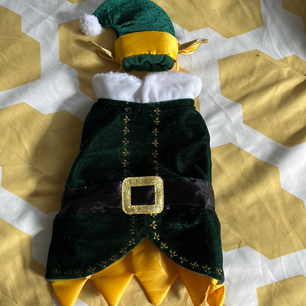 Dog Elf Outfit